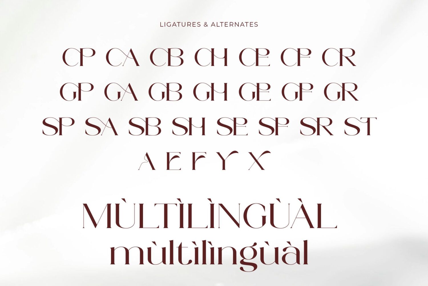 stylish elegant serif