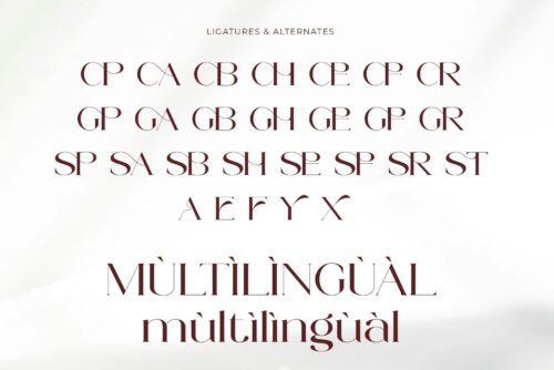 stylish elegant serif