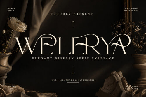 Welerya - Elegant Display Serif